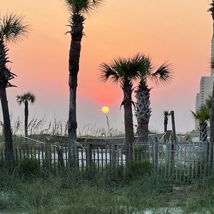 Meet your Posher, Sonya